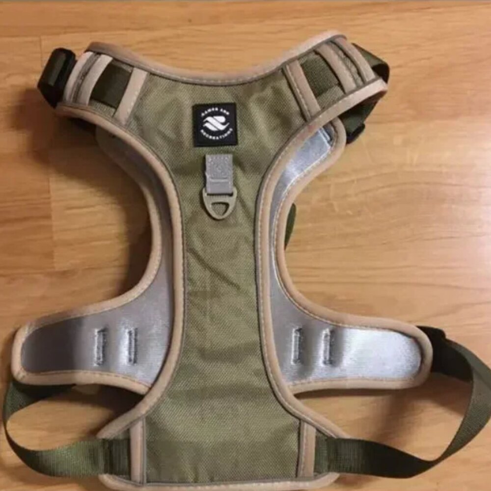 Games and recreation dog harness and leash